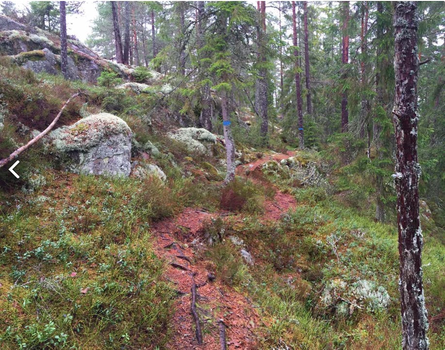 Tiveden Trail