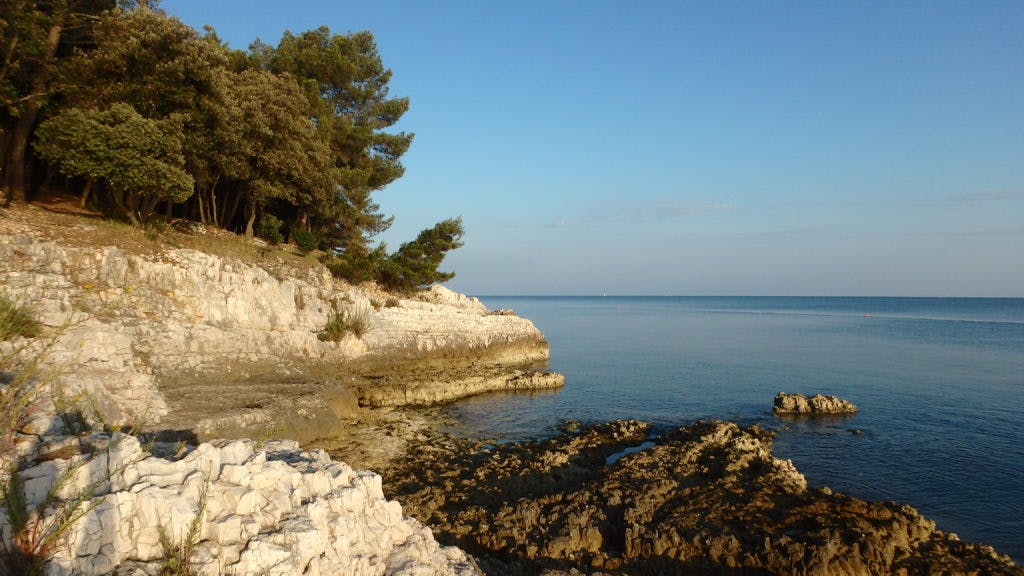 Morgonpass vid Kroatienkusten