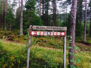 Vasaloppsspåret
